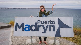 Puerto Madryn Turismo Almuerzo en la Playa  Tour del Ecocentro Chubut Argentina [upl. by Bax]