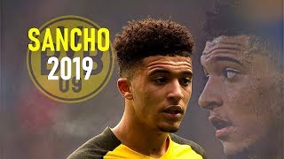 Jadon Sancho 2019  Breakthrough Season  Crazy Skills Show  Borussia Dortmund [upl. by Akerahs825]