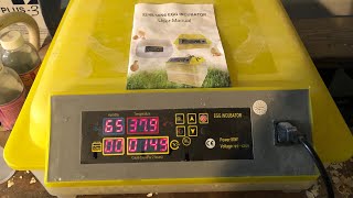 Automatic egg incubator operating instructions and duck eggs [upl. by Cooe]