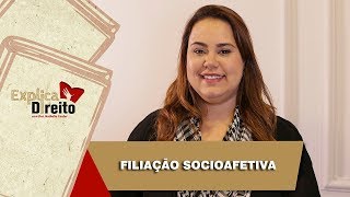 Explica Direito Filiação Socioafetiva  2019 [upl. by Irwinn]