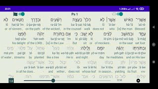 Tanakh Read Along  Android [upl. by Alien488]