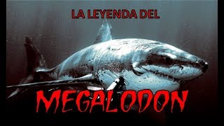 MEGALODON El Demonio NegroCriptozoologiaTerror [upl. by Harwin]