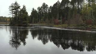 Beaver Dam Collapse [upl. by Crowley]