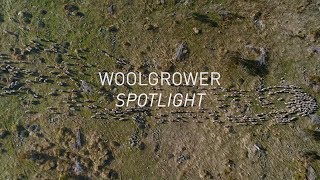 The Woolmark Company presents WOOLGROWER SPOTLIGHT An Environmental Series [upl. by Bakerman]