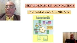 METABOLISMO DE AMINOÁCIDOS [upl. by Yoj]