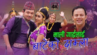 New Nepali lok dohori song  Mali gailai bateko damla  Dolma Lamichhane Magar amp Prem Sharma 4K [upl. by Adnim143]