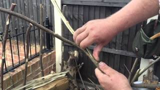 How to split hazel rods [upl. by Watters468]