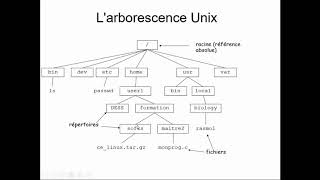 Larborescence des fichiers sous Linux [upl. by Bubalo845]