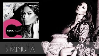 Ceca  5 minuta  Audio 2013 HD [upl. by Yliram]