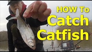 How to catch channel catfish  How I fish for catfish Bait Rigs Net [upl. by Attesoj]