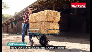 18V X2 LXT® Lithium‑Ion Brushless Cordless Power‑Assisted Wheelbarrow [upl. by Silsby]