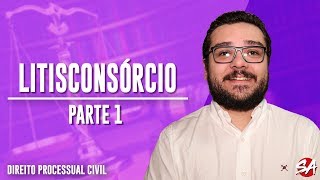 LITISCONSÓRCIO  Direito Processual Civil  Parte 1 [upl. by Leeke]